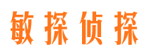 兰西市侦探调查公司